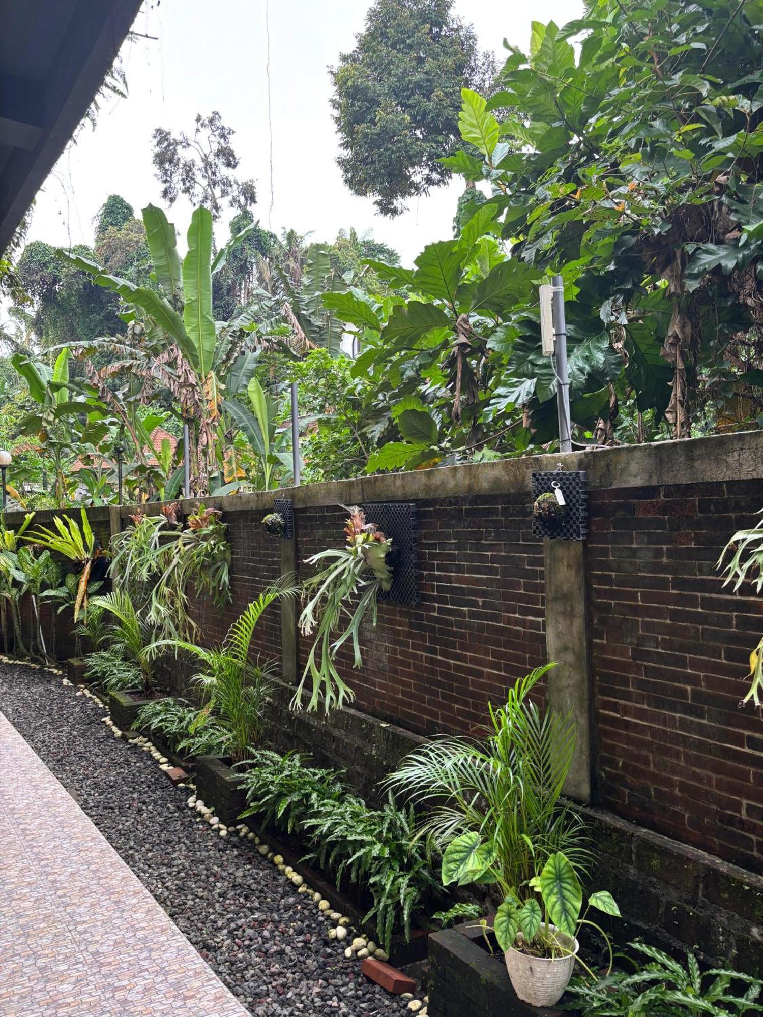 Adi Jaya Jungle By Eps Wisma tamu 4*