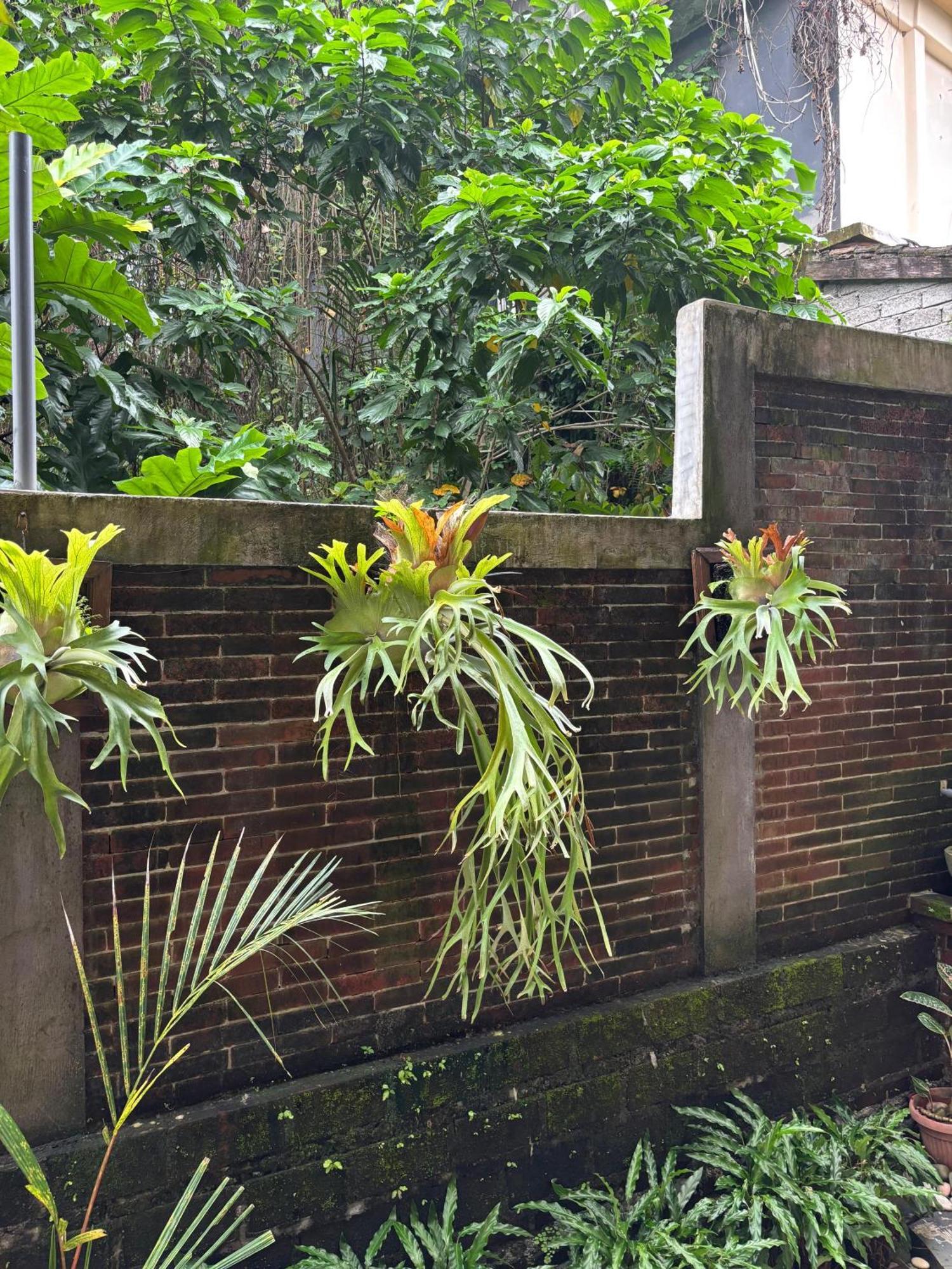 Adi Jaya Jungle By Eps Wisma tamu Ubud (Bali)